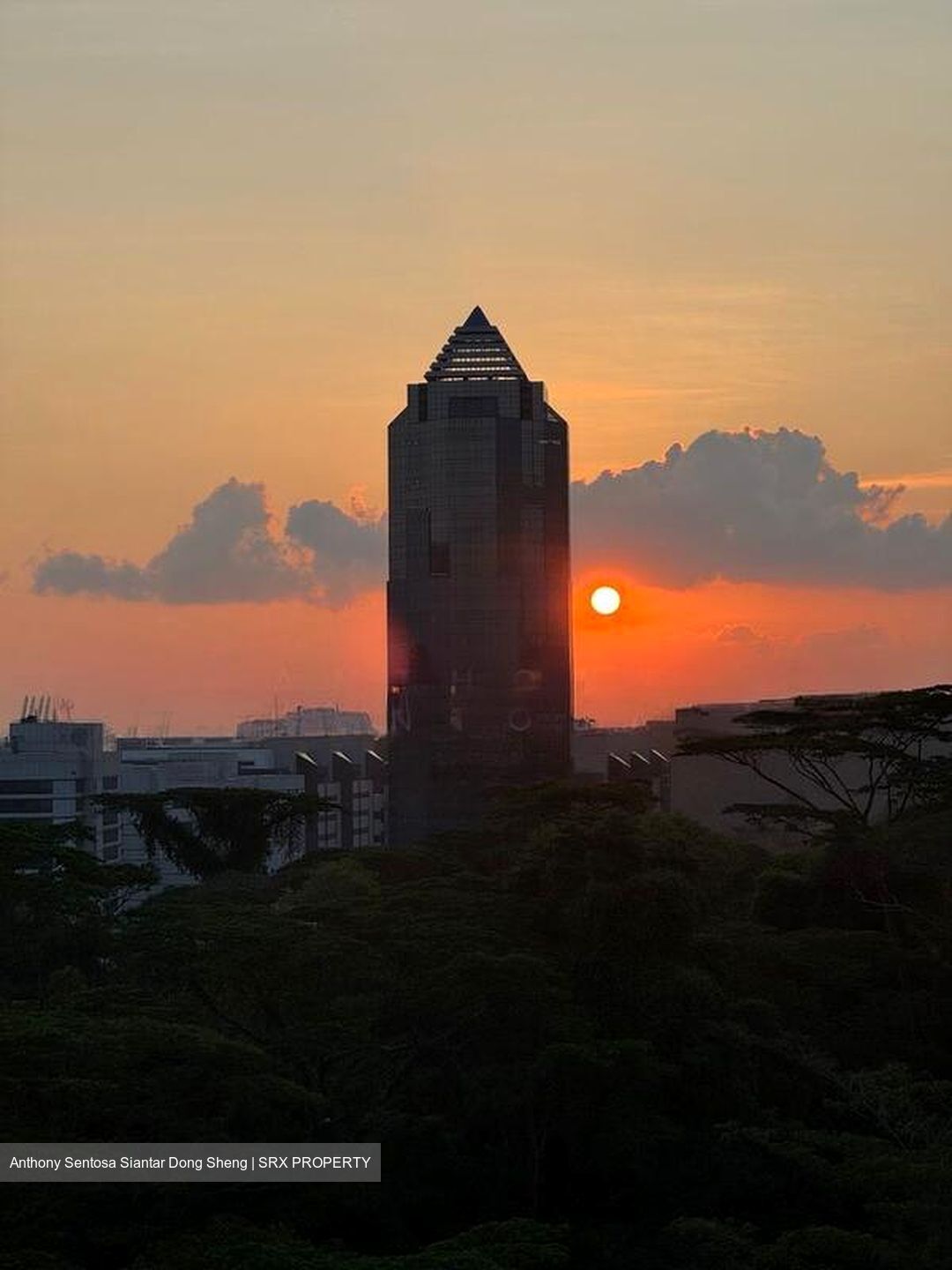 Blk 92B Telok Blangah Parcview (Bukit Merah), HDB 4 Rooms #499746021